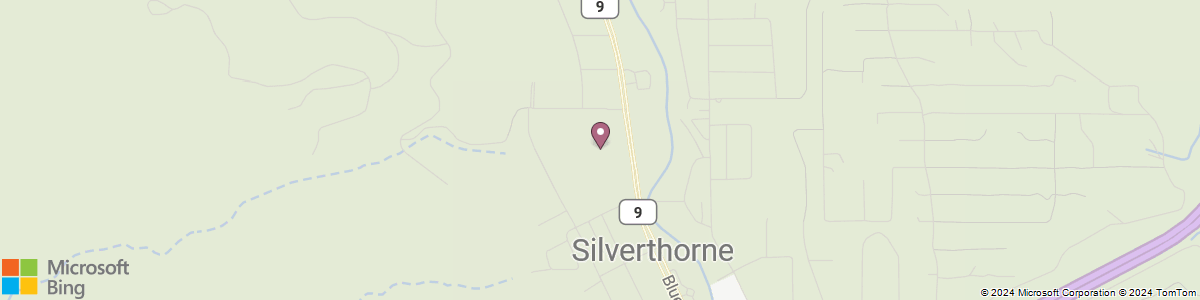 Silverthorne map